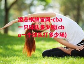 凌志棋牌官网-cba一只球队多少钱(cba一个球队打多少场)